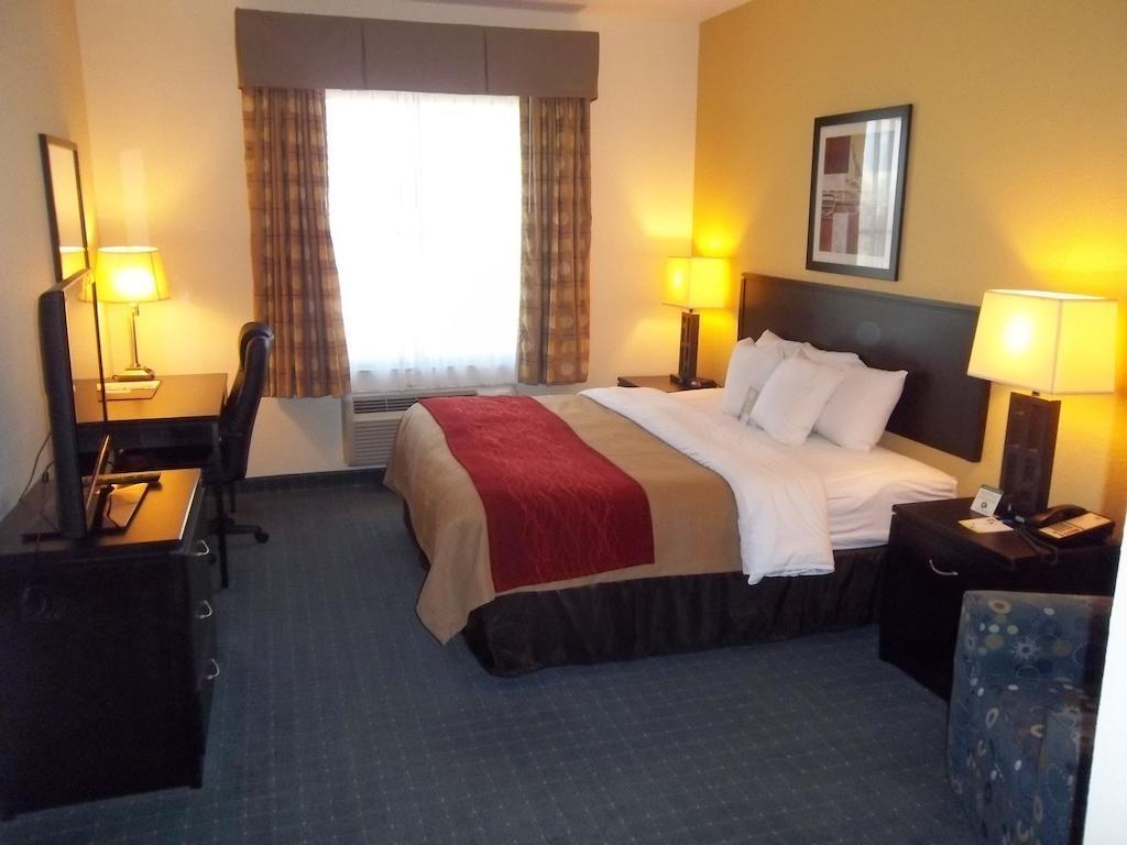 Comfort Inn & Suites Northeast - Gateway Sankt Petersburg Zewnętrze zdjęcie