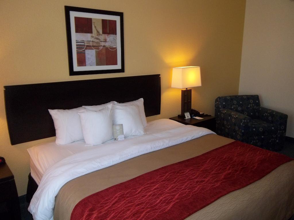Comfort Inn & Suites Northeast - Gateway Sankt Petersburg Zewnętrze zdjęcie