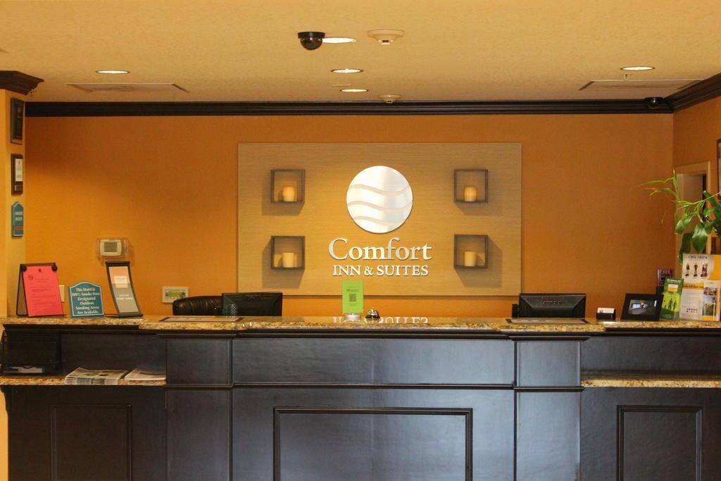 Comfort Inn & Suites Northeast - Gateway Sankt Petersburg Zewnętrze zdjęcie