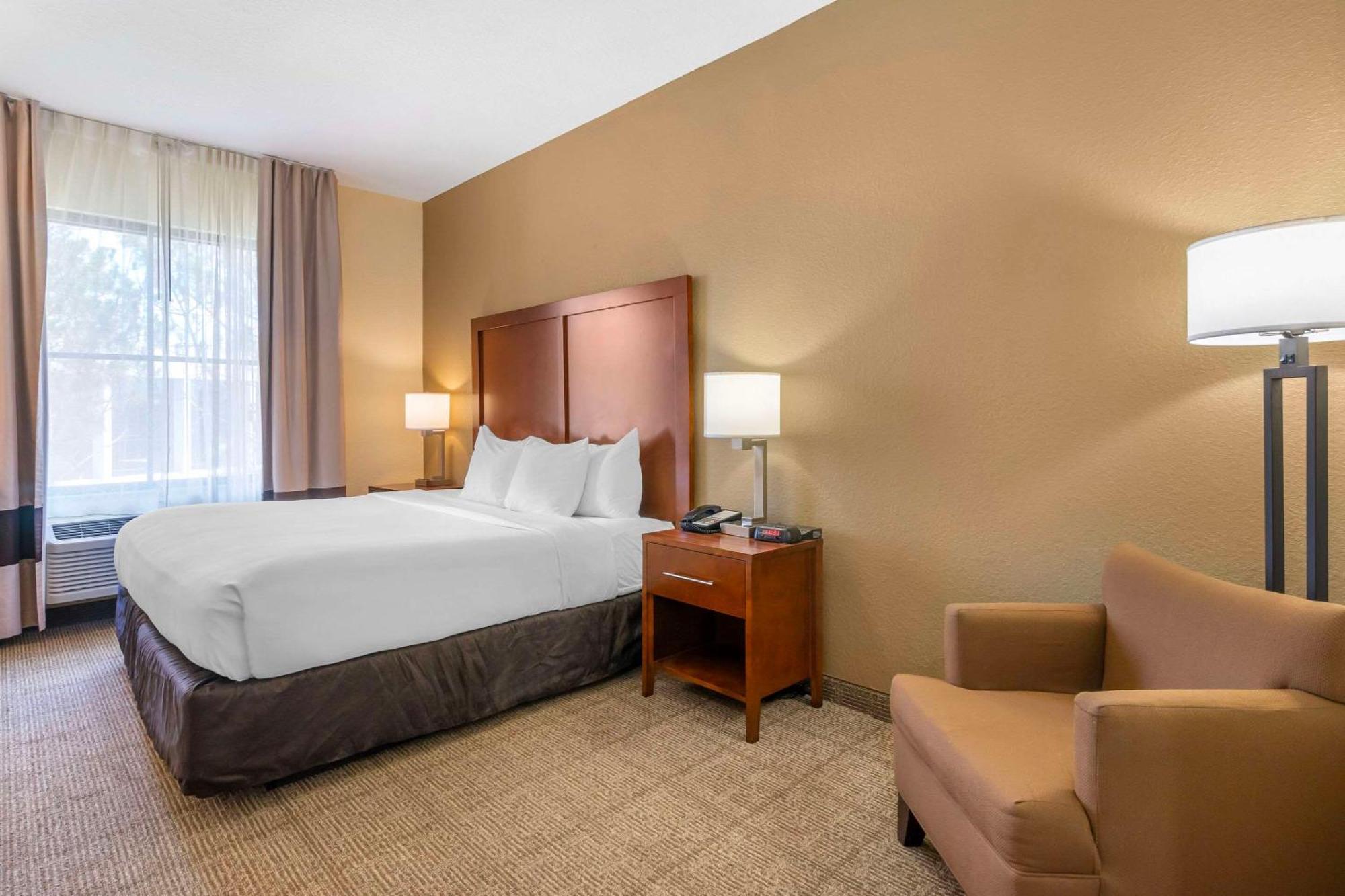 Comfort Inn & Suites Northeast - Gateway Sankt Petersburg Zewnętrze zdjęcie