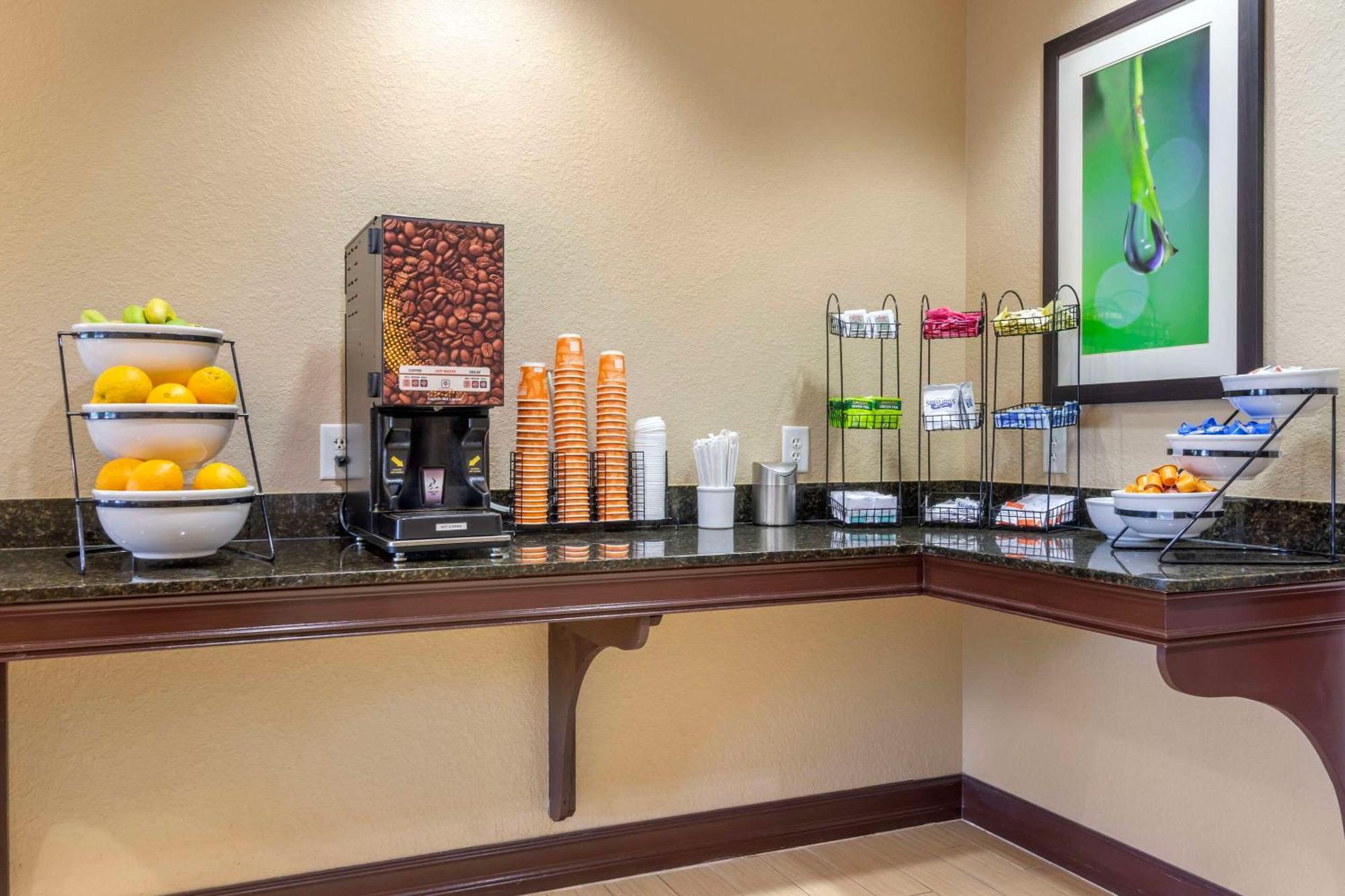 Comfort Inn & Suites Northeast - Gateway Sankt Petersburg Zewnętrze zdjęcie
