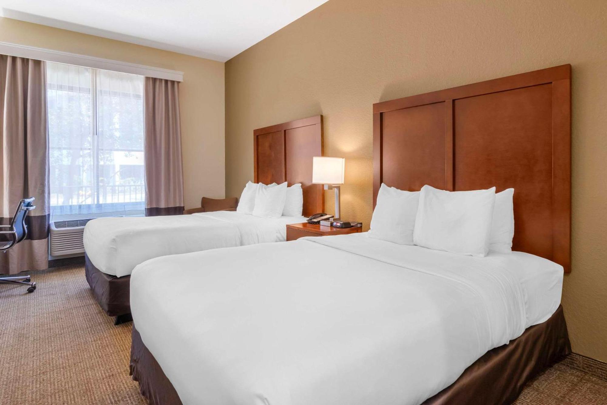Comfort Inn & Suites Northeast - Gateway Sankt Petersburg Zewnętrze zdjęcie