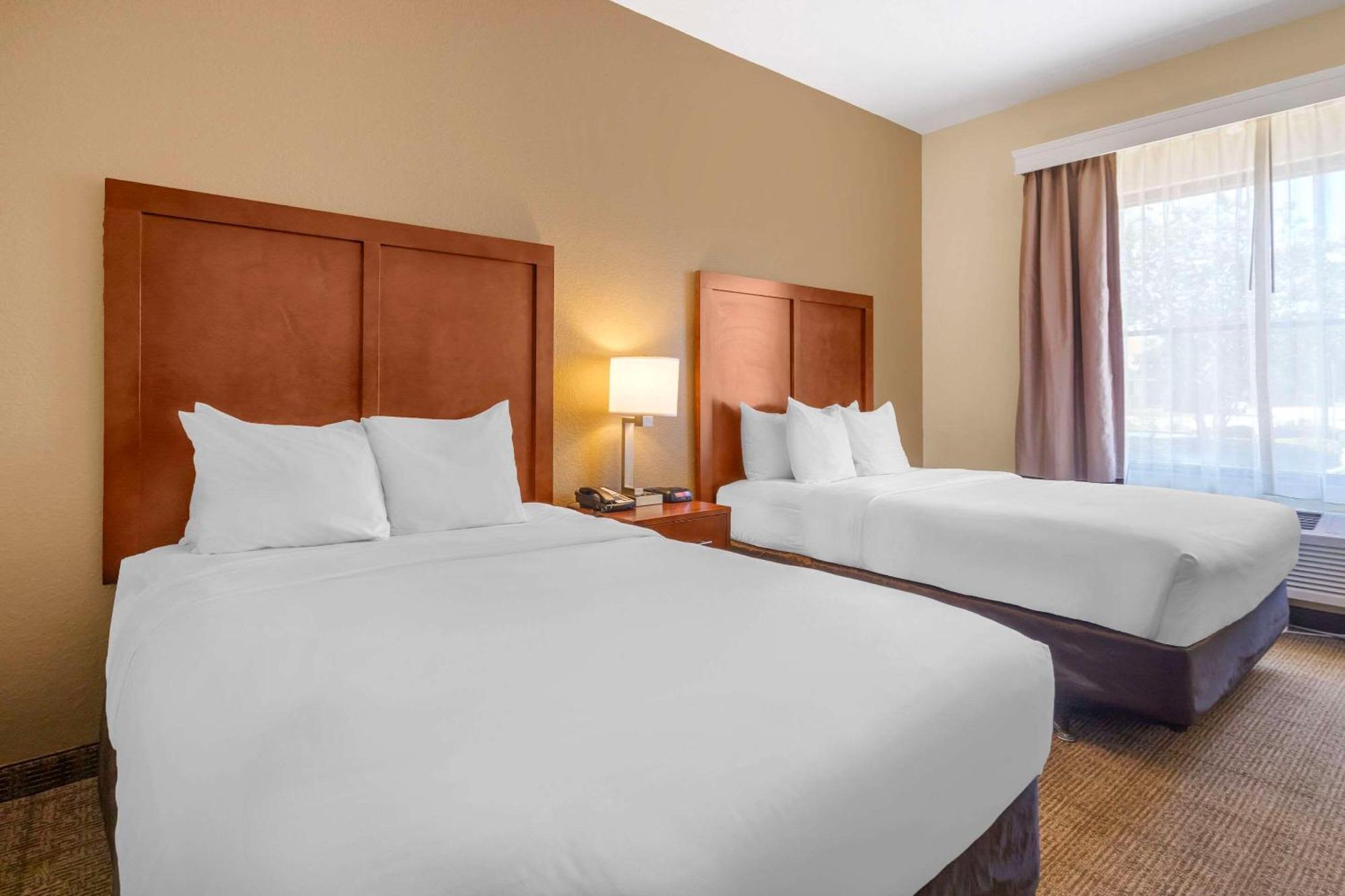 Comfort Inn & Suites Northeast - Gateway Sankt Petersburg Zewnętrze zdjęcie