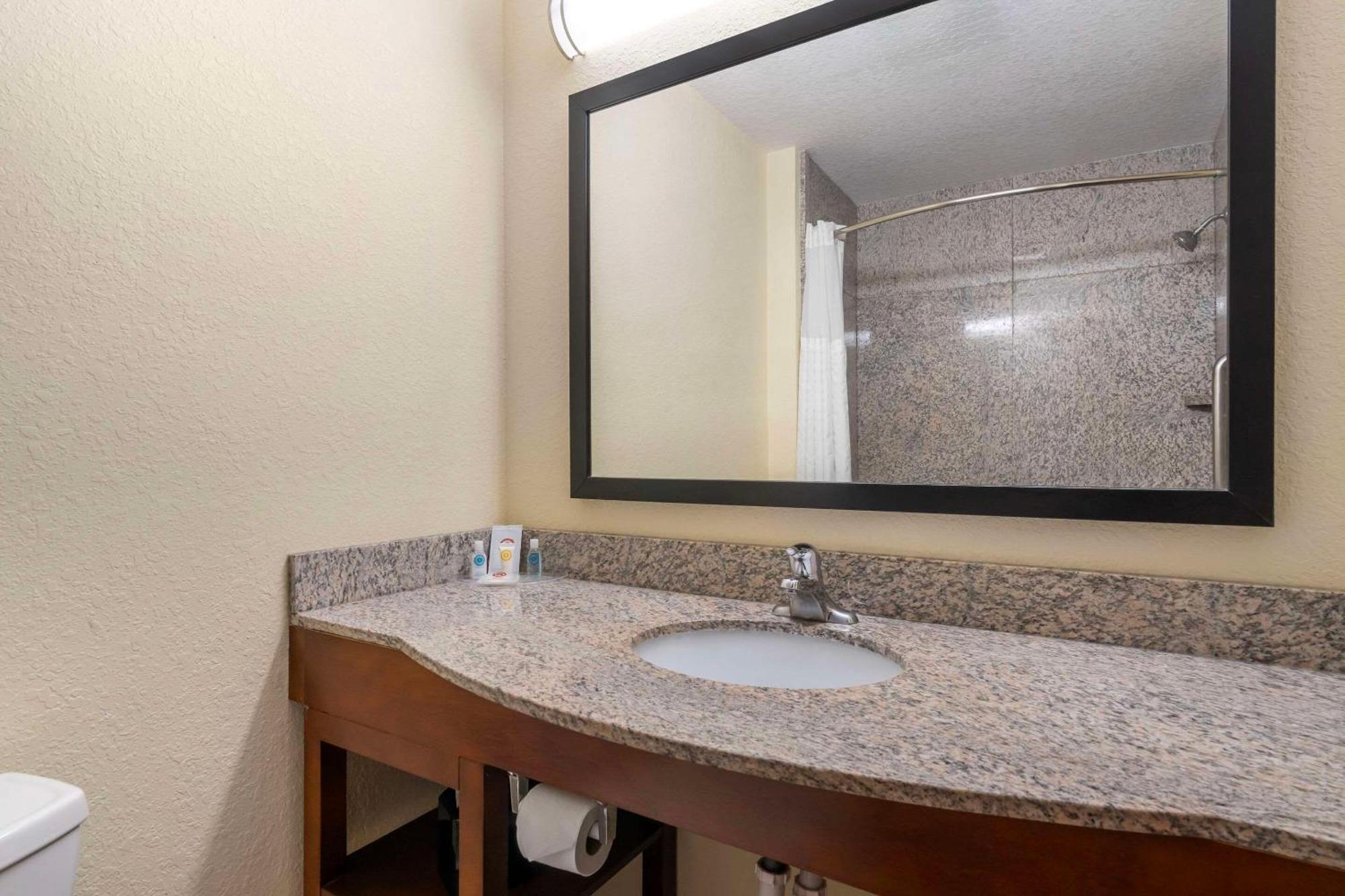 Comfort Inn & Suites Northeast - Gateway Sankt Petersburg Zewnętrze zdjęcie