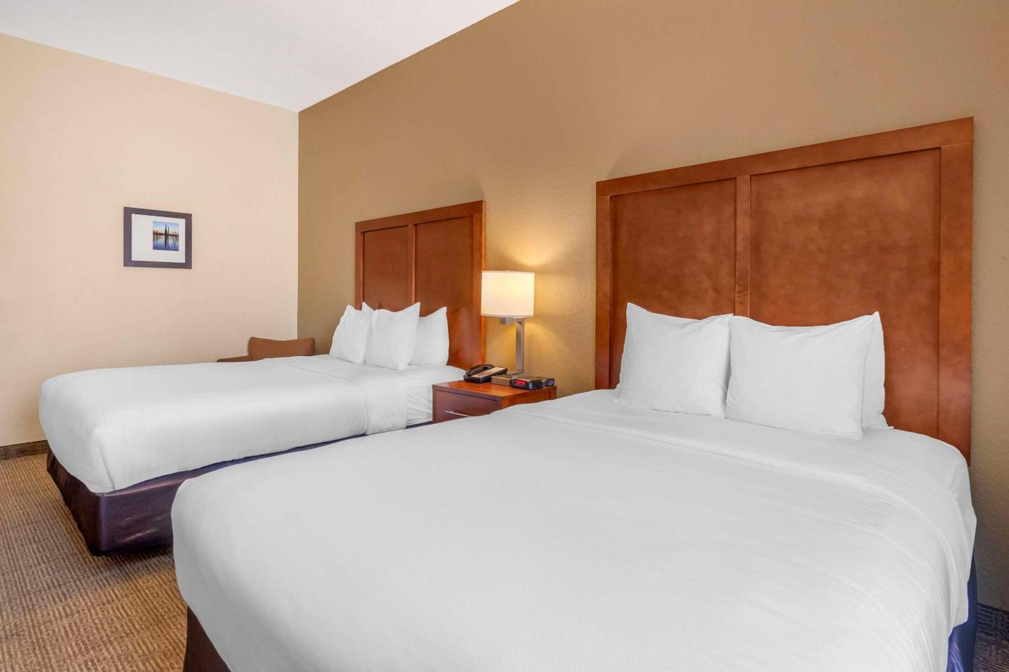 Comfort Inn & Suites Northeast - Gateway Sankt Petersburg Zewnętrze zdjęcie