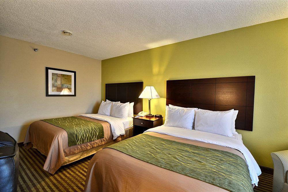 Comfort Inn & Suites Northeast - Gateway Sankt Petersburg Zewnętrze zdjęcie